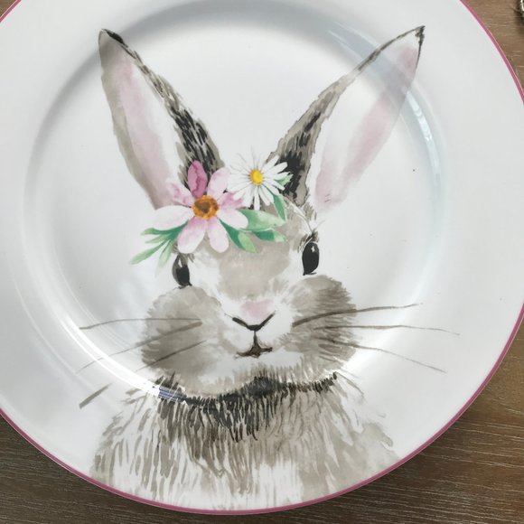 Ciroa Dining Ciroa Pink Rim Bunny Floral Dinner Plates Set Of 4